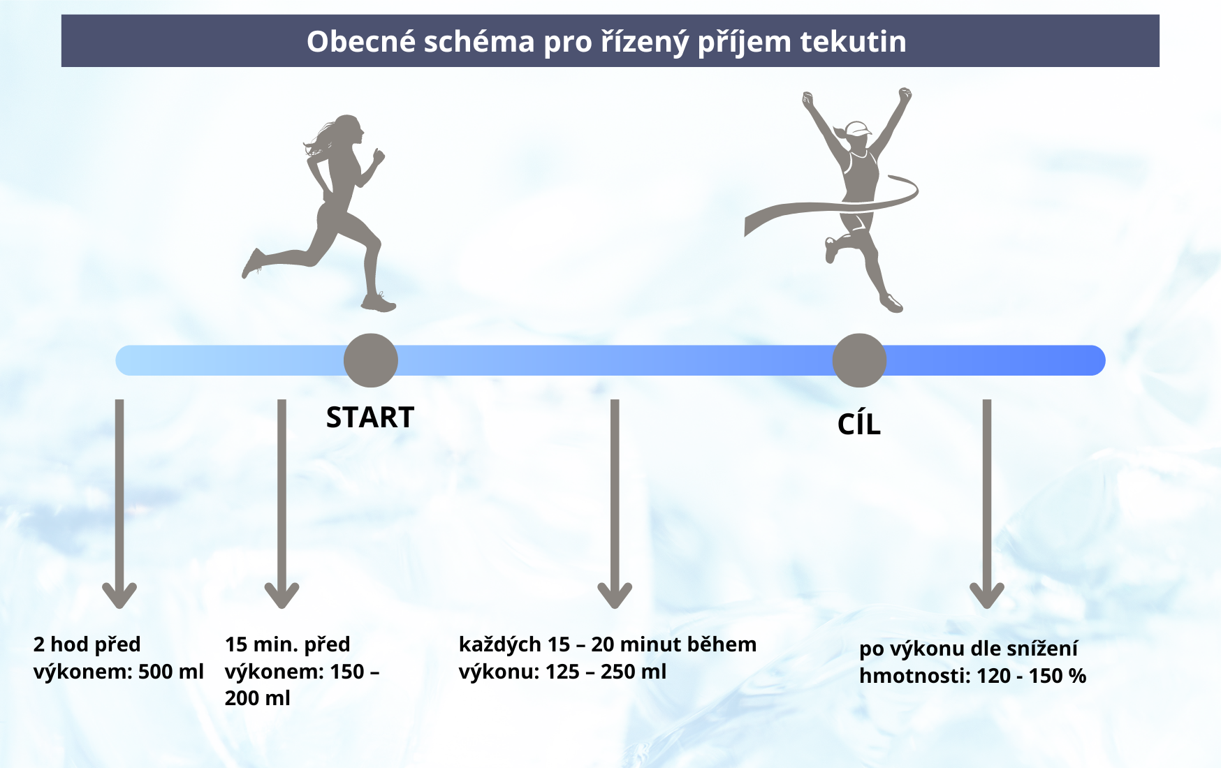 schema
