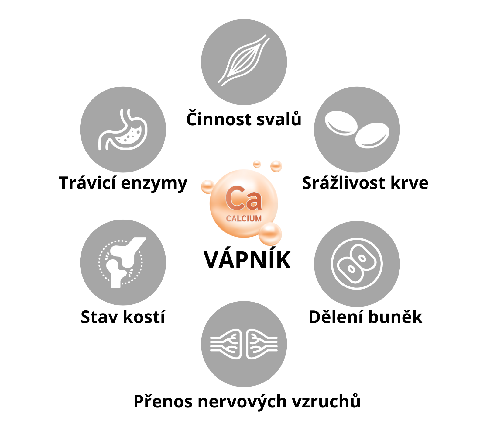 vapnik