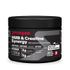 HMB Creatine Synergy Pure