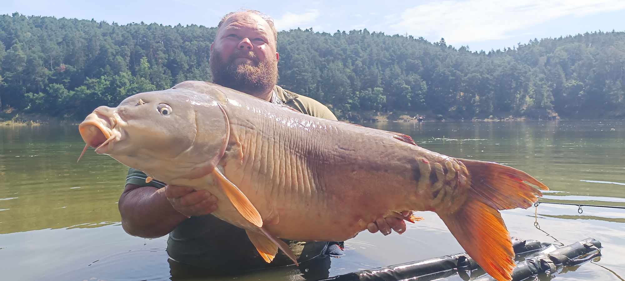 Rybářský úlovek – kapr z vody