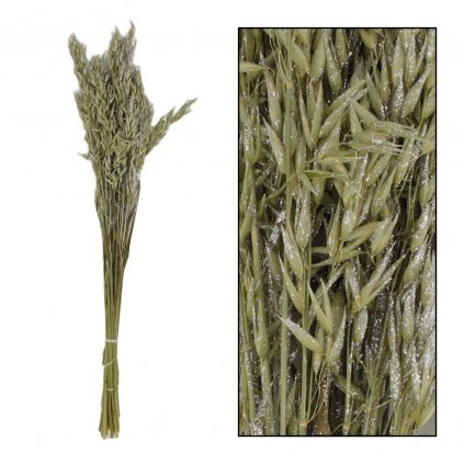 Avena nature zv.SILVER 66x18x4cm