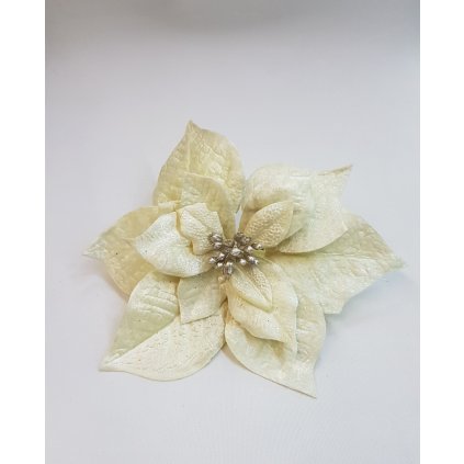 vianocna ruza 203790