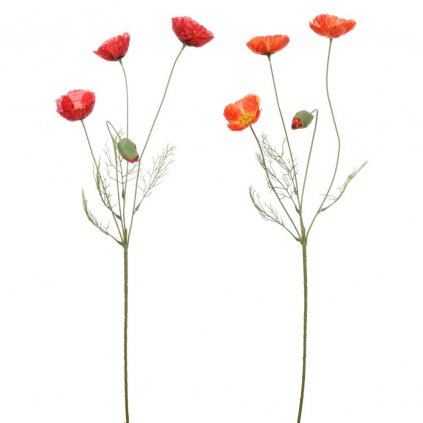 KS PAPAVER 4-ST 2F 60CM