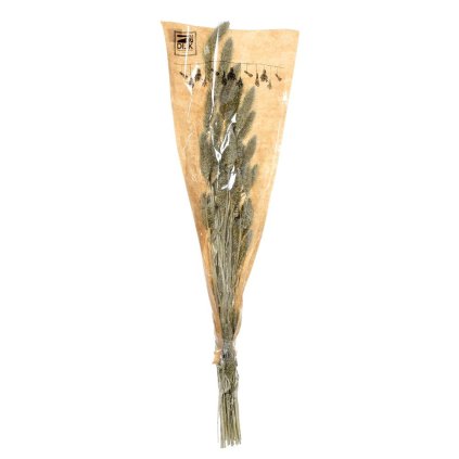 Setaria sušená zv platina 66x15x6CM