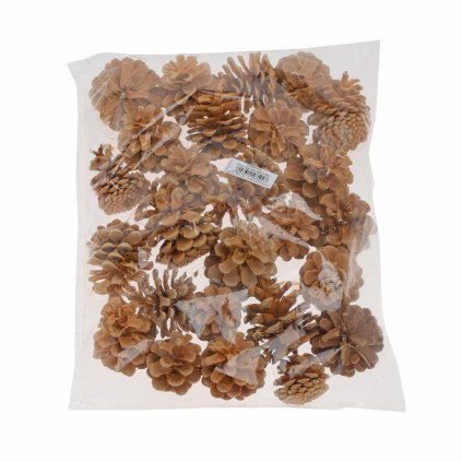 Pinus niger 5-8cm wyb. pacz 0,5kg