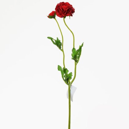 AKCIA! KS RANUNCULUS ČERVENÝ KS 39CM
