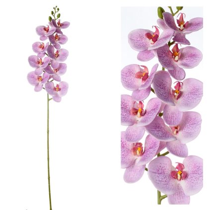 ORCHIDEA PHALENOPSIS RUŽOVO-FIAL., BODKY 96CM