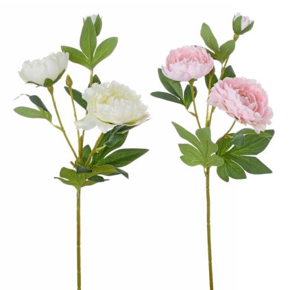 KS PIVONKA VIACK. 2F 49cm