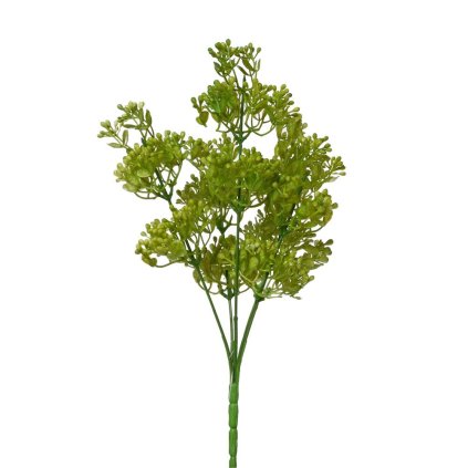 ZÁPICH BUPLEURUM BLEDO-ZELENÁ 30CM