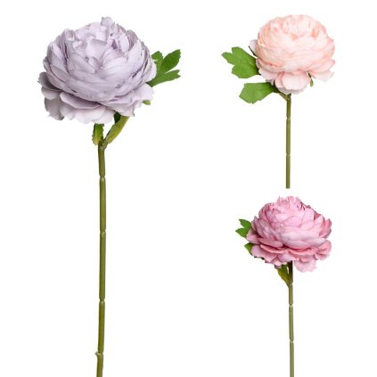 SUPER CENA! KS RANUNCULUS 3F 30cm
