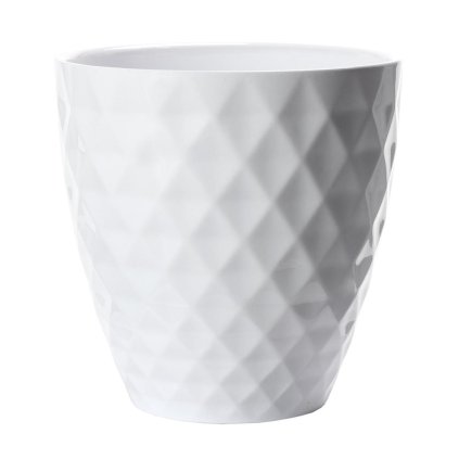 54507 OBAL ORCH.ALASKA WEISS 632/15