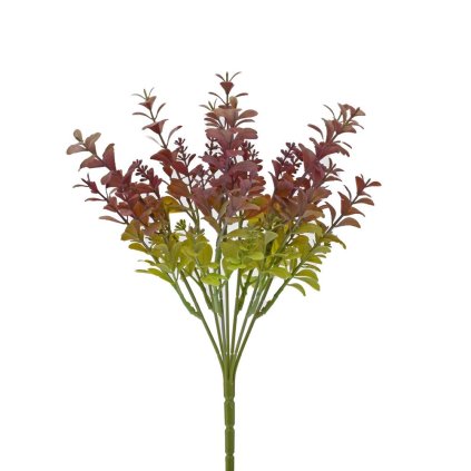 ZELEŇ DROB. LÍSTKY, ZELENO- FIALOVÁ 32CM