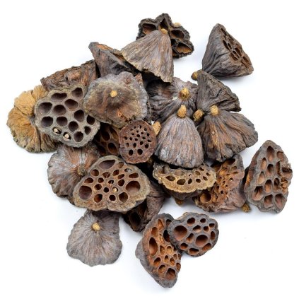 T189 LOTOS 3-5CM S/25