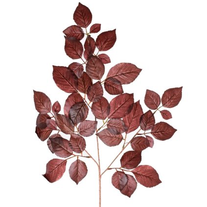 LIST FICUS ČERVENÝ 56CM