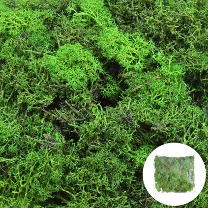 Mach prepar. MEDIUM GREEN/ 250 g