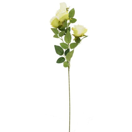 KS RUŽA ZELENÁ 4 HLAVY, ZELEŇ  72CM