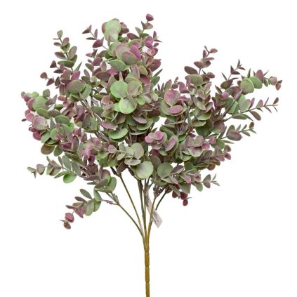 ZÁPICH EUCALYPTUS ZELENOFIALOVÝ 42CM