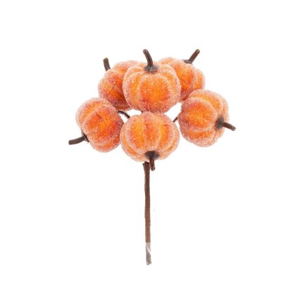 ZÁPICH TEKVICE ĽADOVÉ S/6 14CM