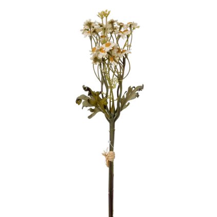 KYTICA TANACETUM KRÉMOVÉ 43CM
