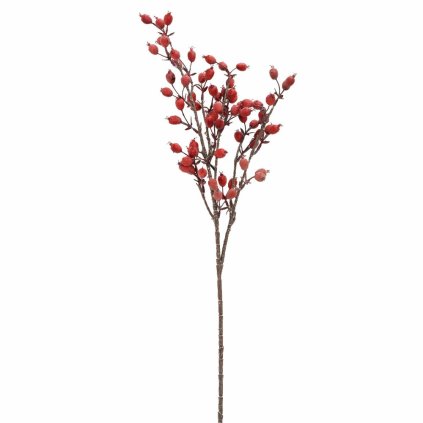 KONÁR ŠÍPKY BORDOVÉ 65CM