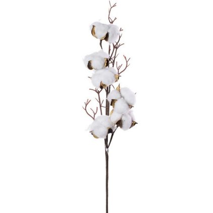 KONÁR BAVLNA VÄČŠIA 48CM