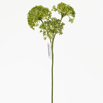 KS SEDUM ZELENÉ 35CM