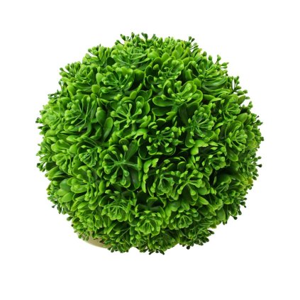 GUĽA STREDNÁ SUKULENT KVET ZELENÝ 23CM