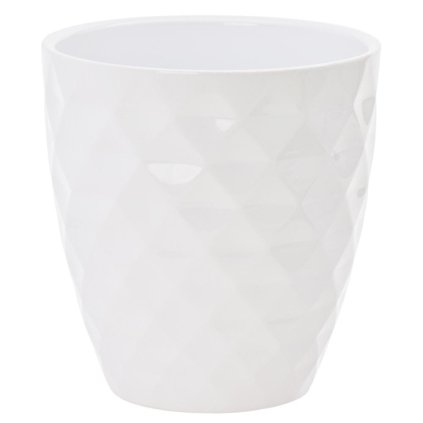 54994 OBAL ORCH. ALASKA WEISS 632/12