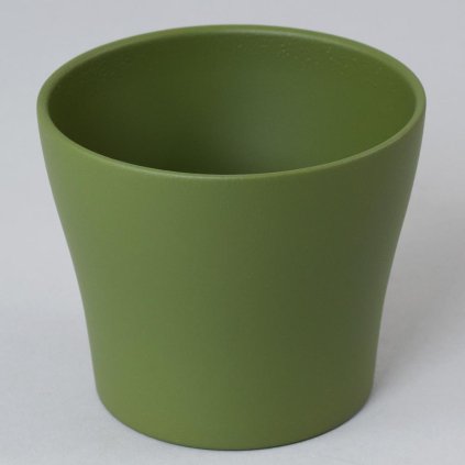 62276 OBAL OLIVA 808/17