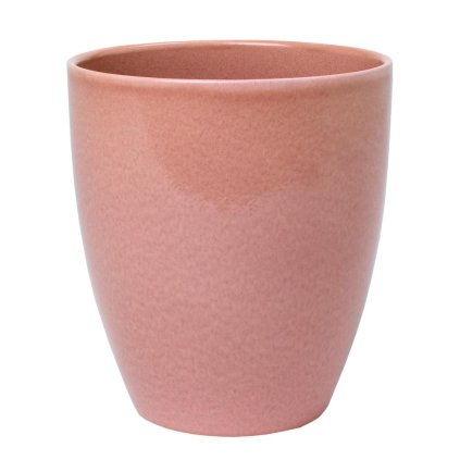 65502 OBAL ORCH. ROSEA 620/15