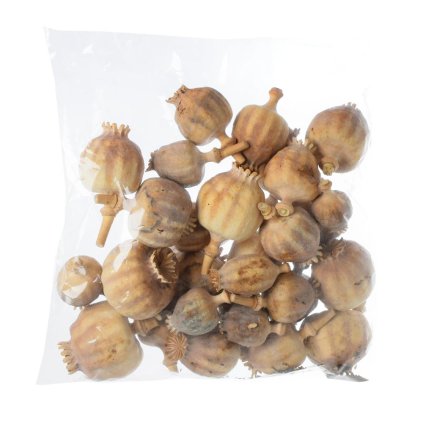 MAKOVICE hlávka 200g