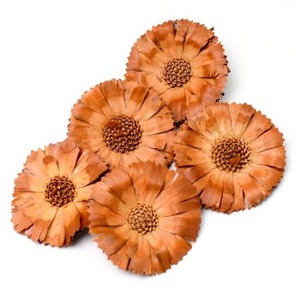 SUPER CUT 6/7 JASNA LUZ S/5 R059SLPACZ-5