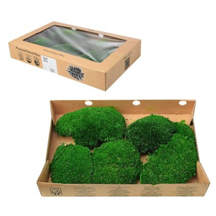 Mach preparovaný 9 BULK dark green Bochníčky