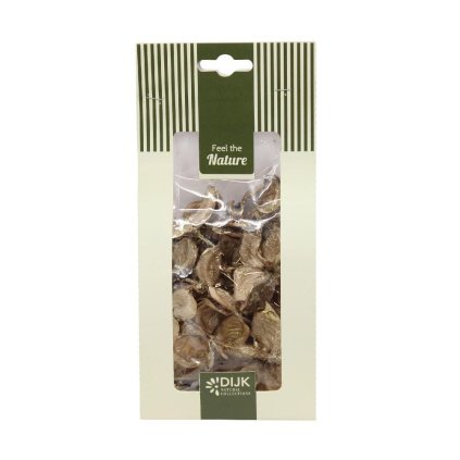 COTTON POD NATURE 10X5X22CM