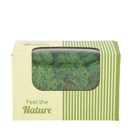 MOSS REINDEER MACHOVÁ  ZELENÁ 50GR NATURE 14X8X10CM