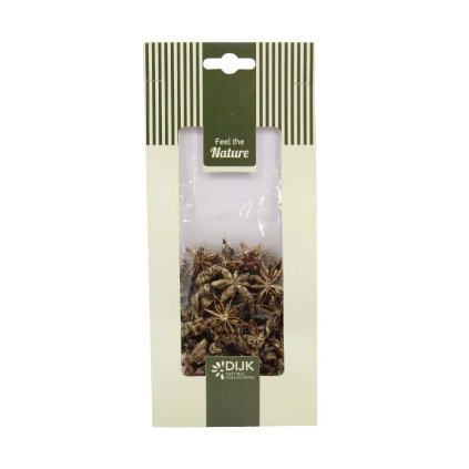 STAR ANISE NATURE GOLD- WASH 10X2X22CM