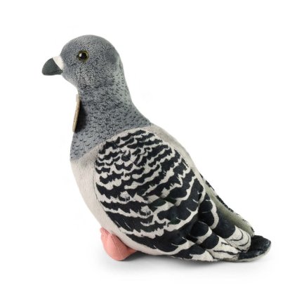 Plyšový holub