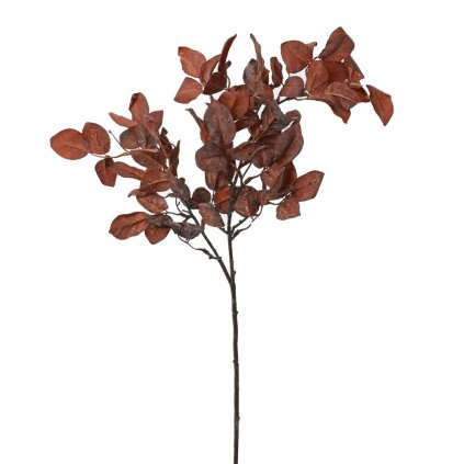 KS ZELEŇ HNEDÉ LÍSTIE 82CM