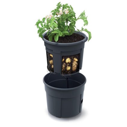 SUPER CENA IZIE300 KVETINÁČ NA PESTOVANIE ZEMIAKOV ANTRACIT 29,5XV23,5CM