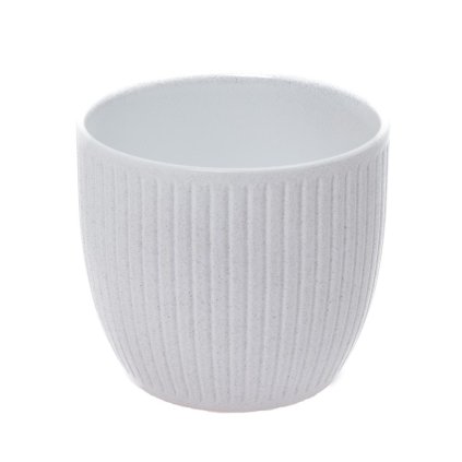 OBAL BELICE COCONUT 21CM