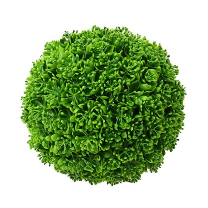 GUĽA VEĽKÁ SUKULENT KVET ZELENÝ 30CM