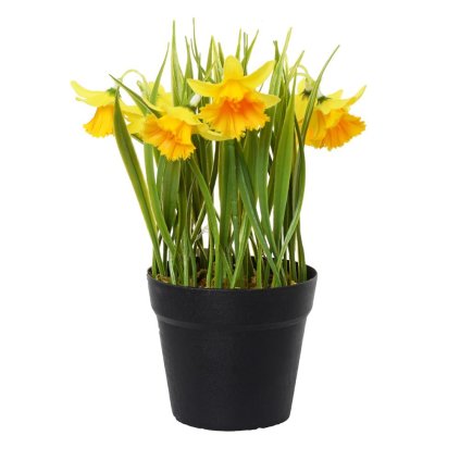 NARCIS V ČREPNÍKU 21x8,5CM ŽLTÝ