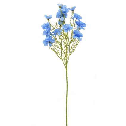 KS DELPHINIUM MODRÉ 75CM