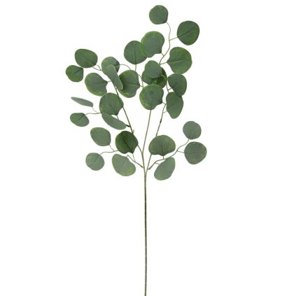 KS EUCALYPTUS POPULUS 77CM