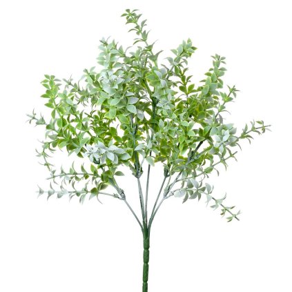 ZÁPICH DROBNÉ LÍSTKY BLEDOZELENÉ 35CM