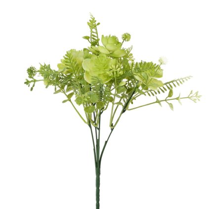 ZELEŇ SUKULENT ZELENÝ 28CM