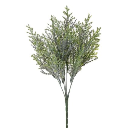 ZELEŇ TUJA SIVO-ZELENÁ 32CM