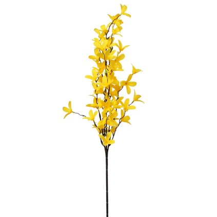 KS ZLATÝ DÁŽĎ 66CM