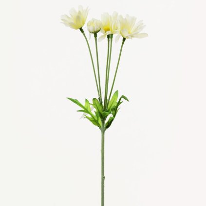 AKCIA! KS MARGARÉTKA KRÉM 32CM