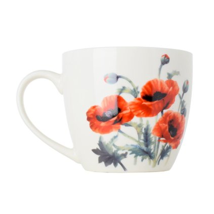 ŠÁLKA dar.bal 460ML maky